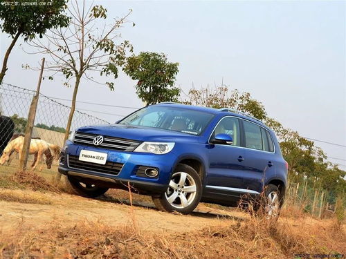 新車一日拆兩回發(fā)動機(jī) 大眾油品頑疾十年未解